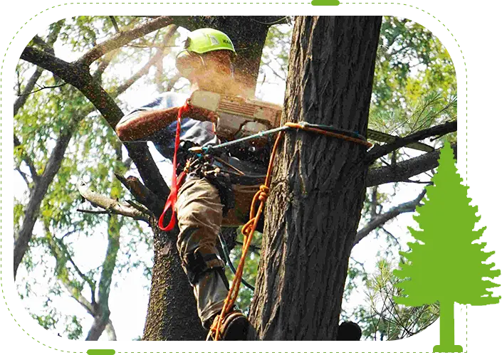 Clear View Tree Service